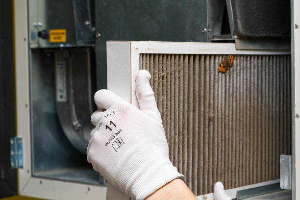 Best Emergency Air Duct Cleaning  in West Pelzer, SC
